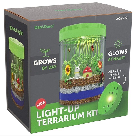 Light-Up Terrarium Kit - Picture 6 of 9